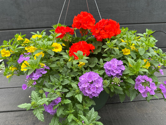 BASKET #98 - 12" HANGING BASKET