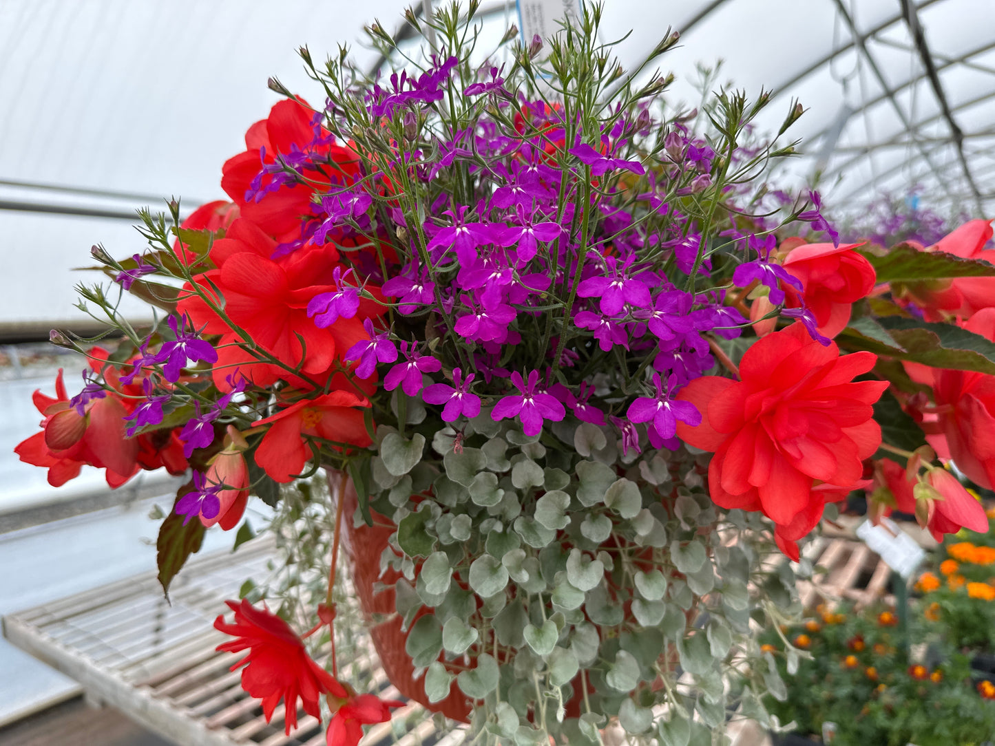 BASKET #3 - 12" HANGING BASKET