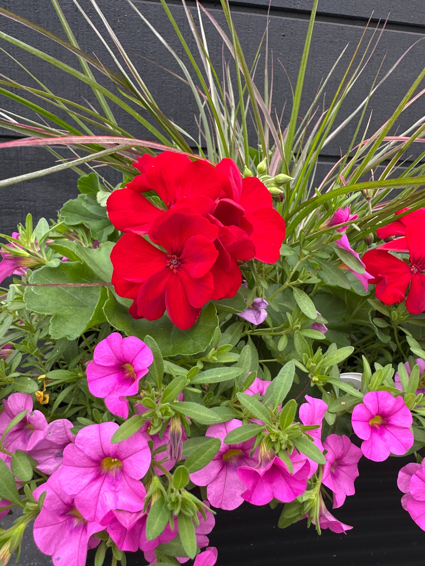 COMBO #1 - 12'' POT
