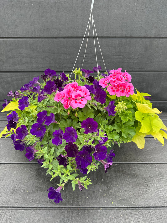 BASKET #23 - 12" HANGING BASKET