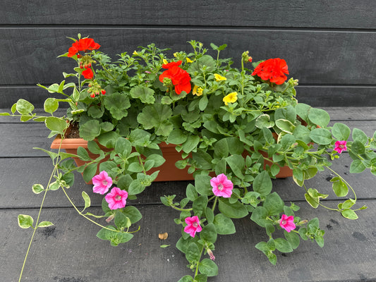COMBO #33 - 24" WINDOW BOX