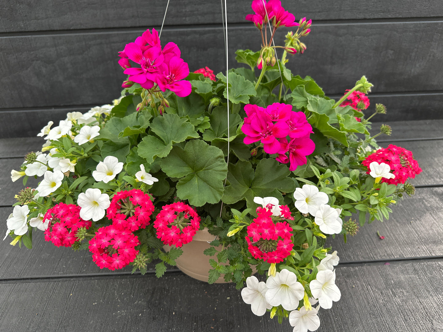BASKET #95 - 12'' HANGING BASKET