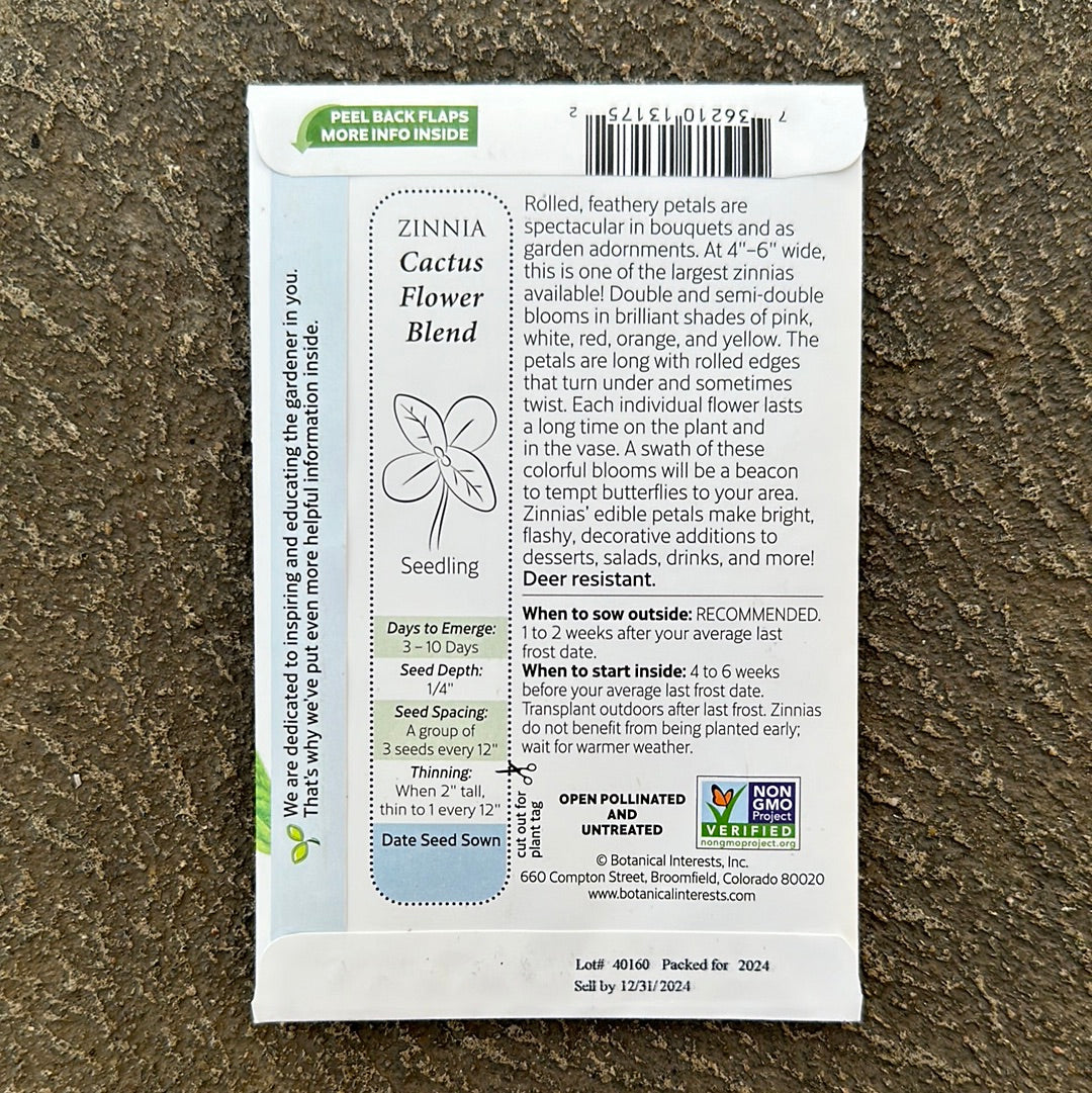 Zinnia Cactus Flower Blend