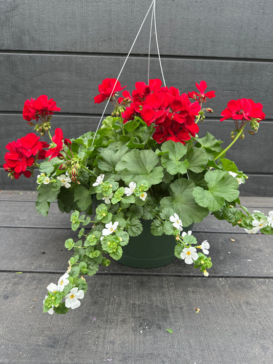 BASKET #5 - 10'' HANGING BASKET