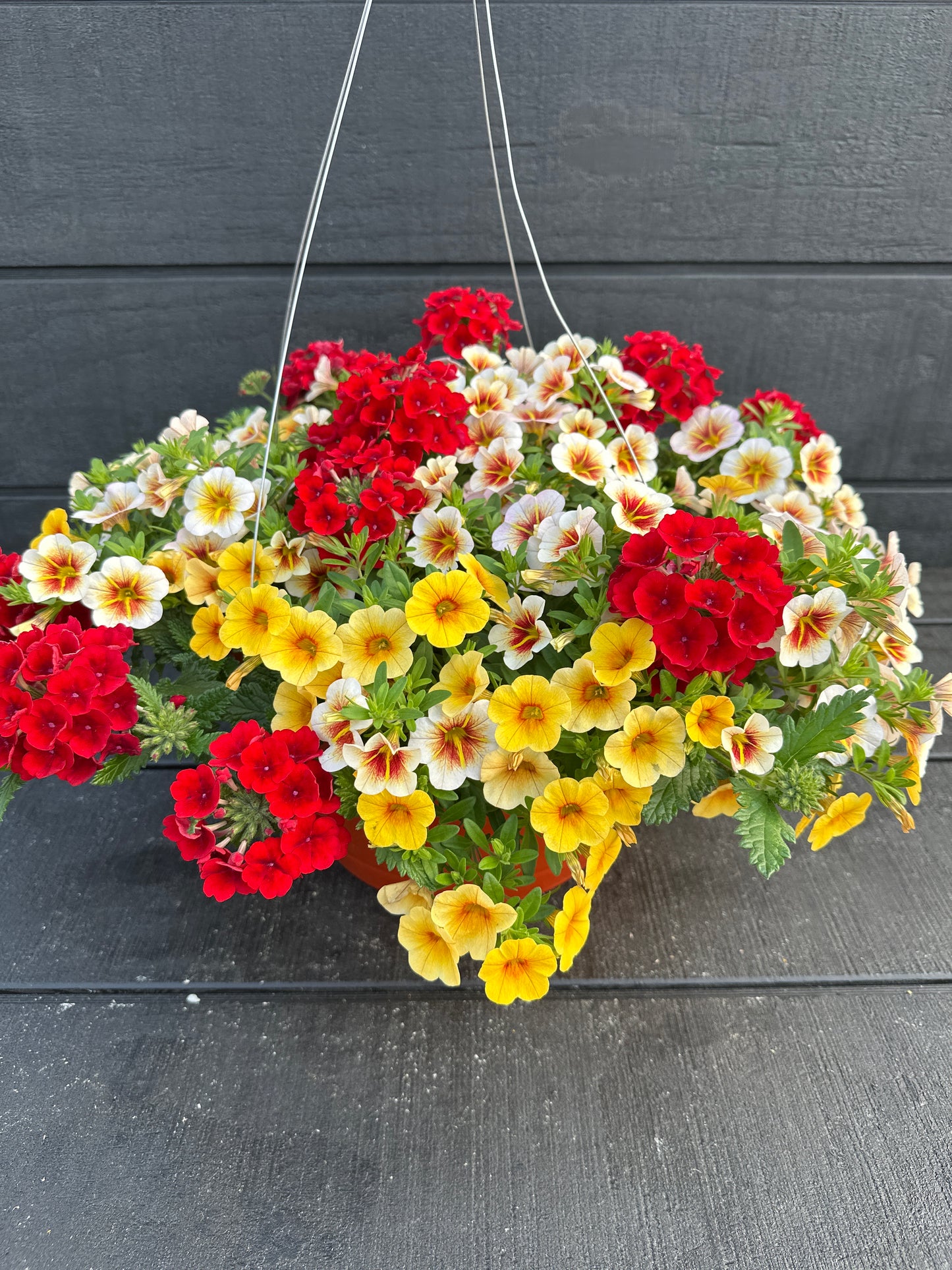 BASKET #45 - 12" HANGING BASKET