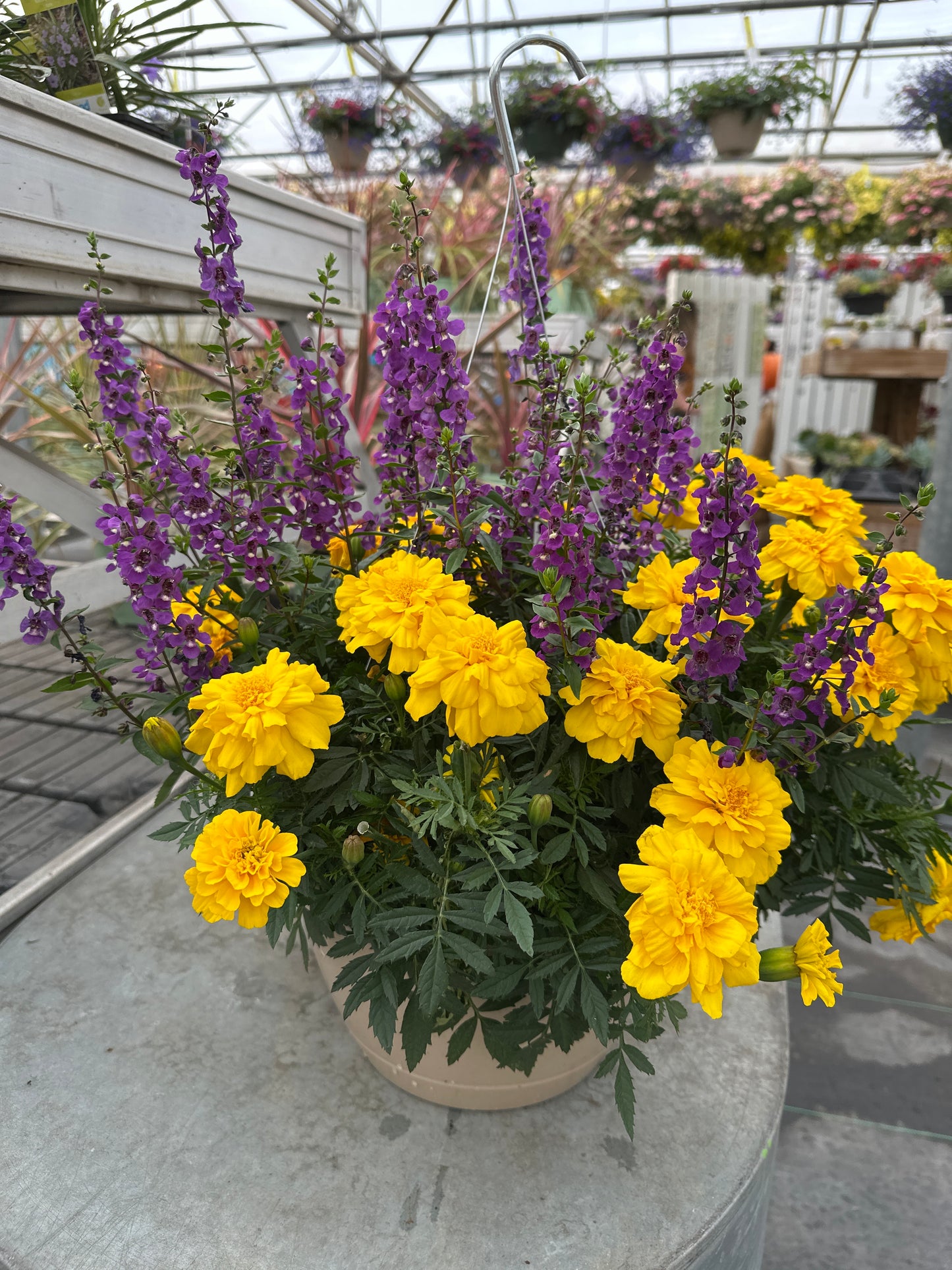 BASKET #39 - 10'' HANGING BASKET