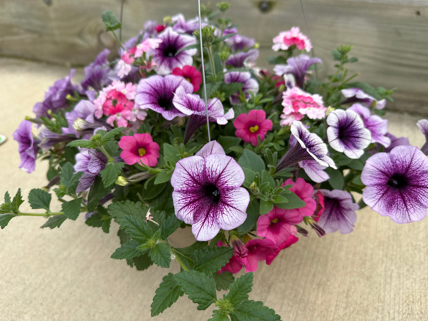 BASKET #29 - 10'' HANGING BASKET