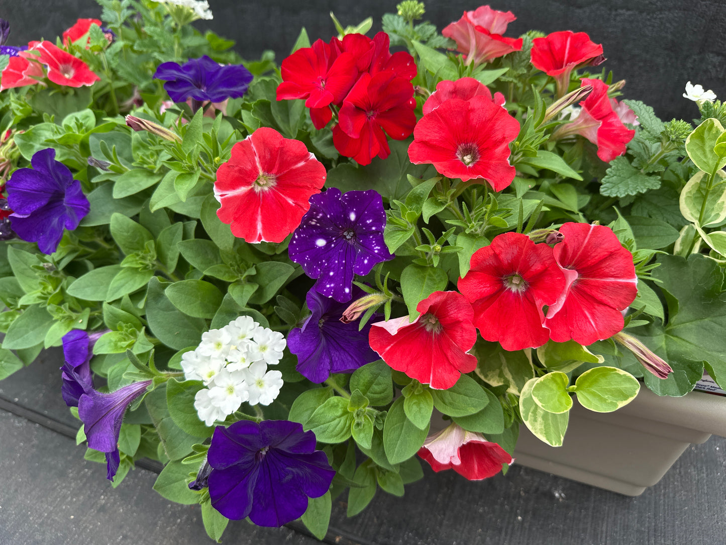 COMBO #4 - 30'' WINDOW BOX