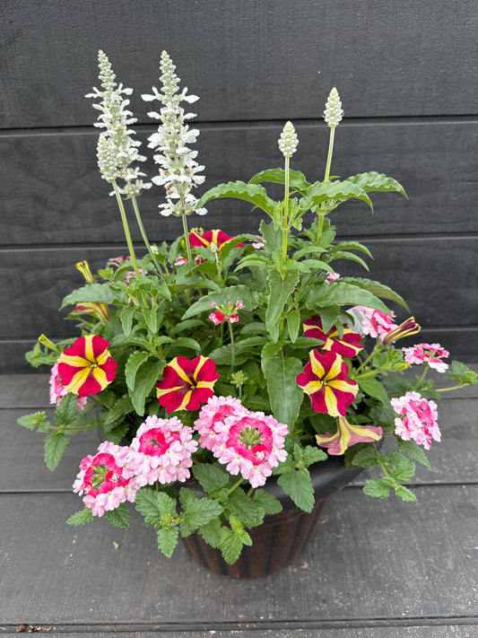COMBO #14 - 12'' POT