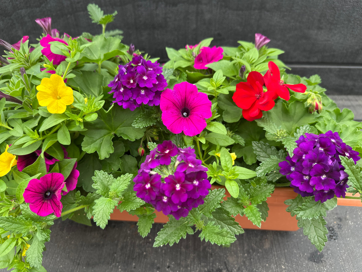 COMBO #23 - 24'' WINDOW BOX
