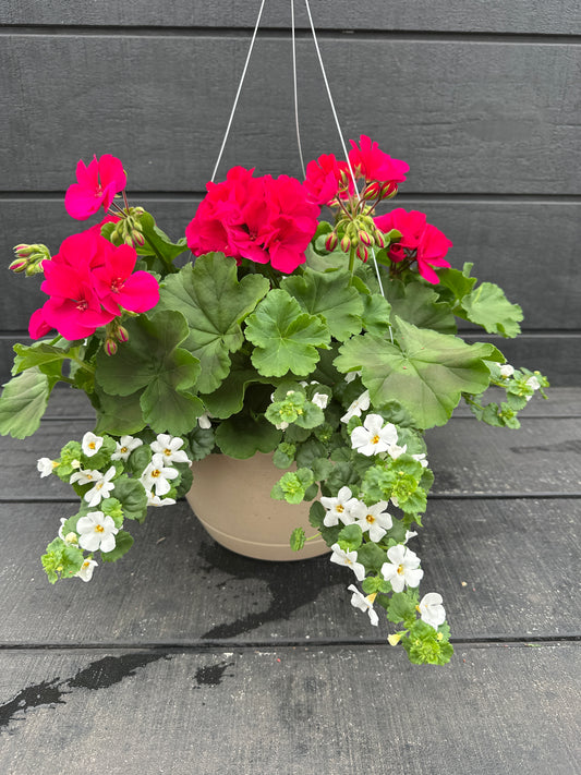 BASKET #3 - 10'' HANGING BASKET