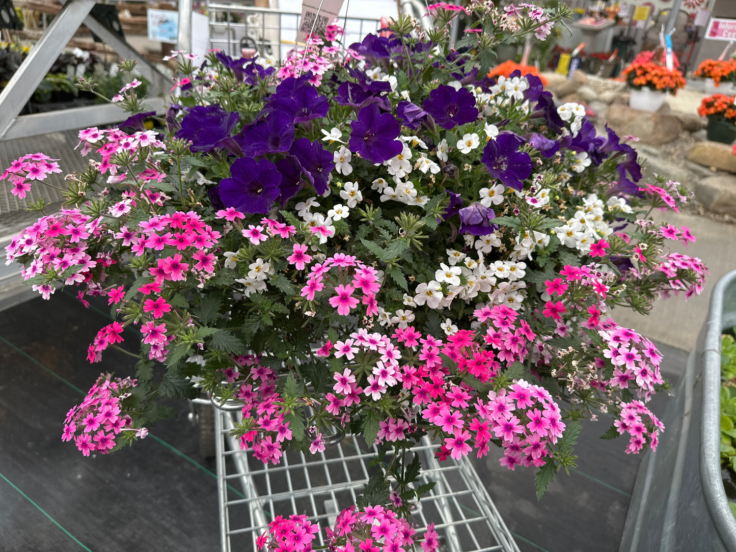 BASKET #57 - 10" HANGING BASKET