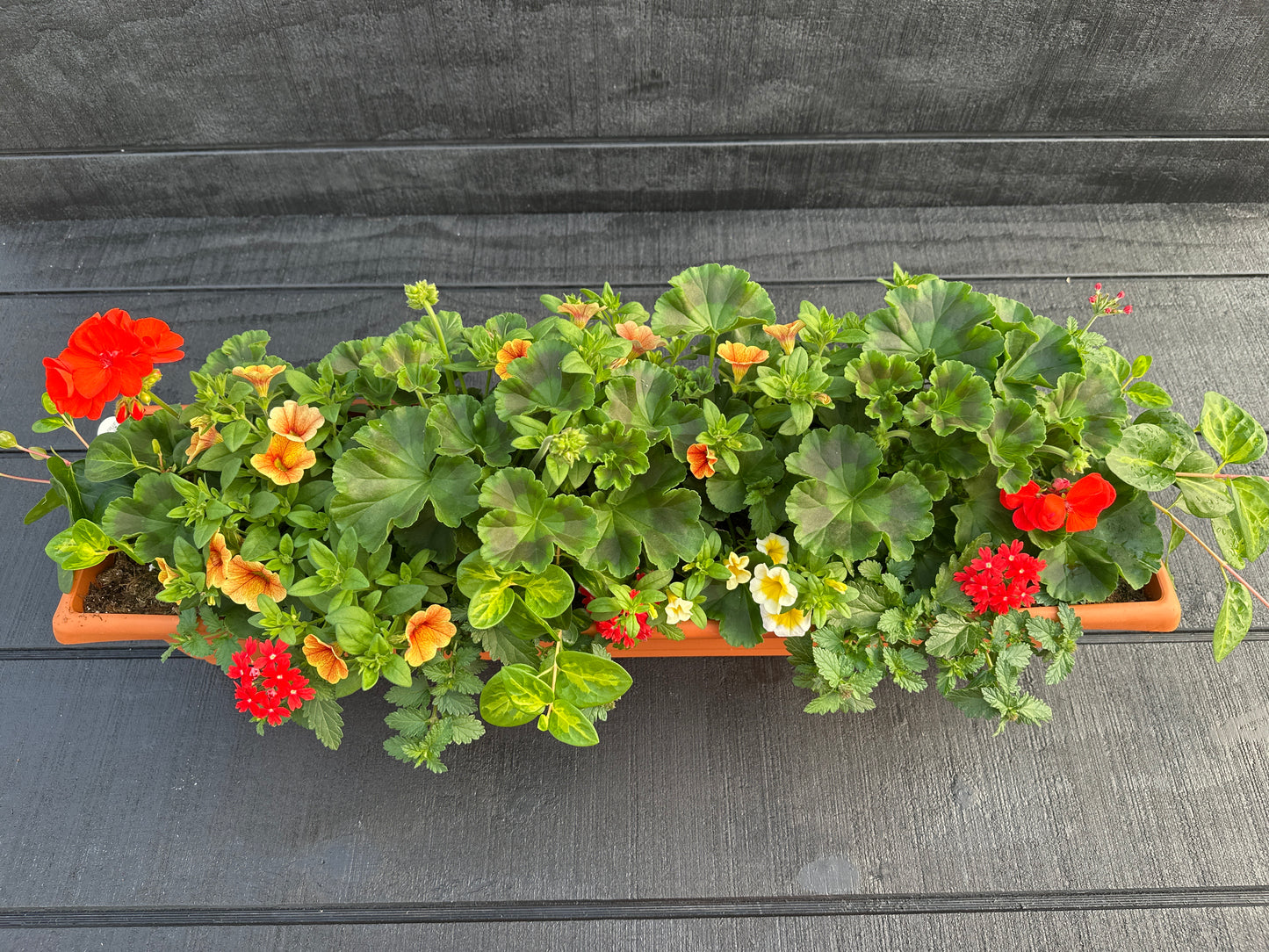 COMBO #2 - 30" WINDOW BOX