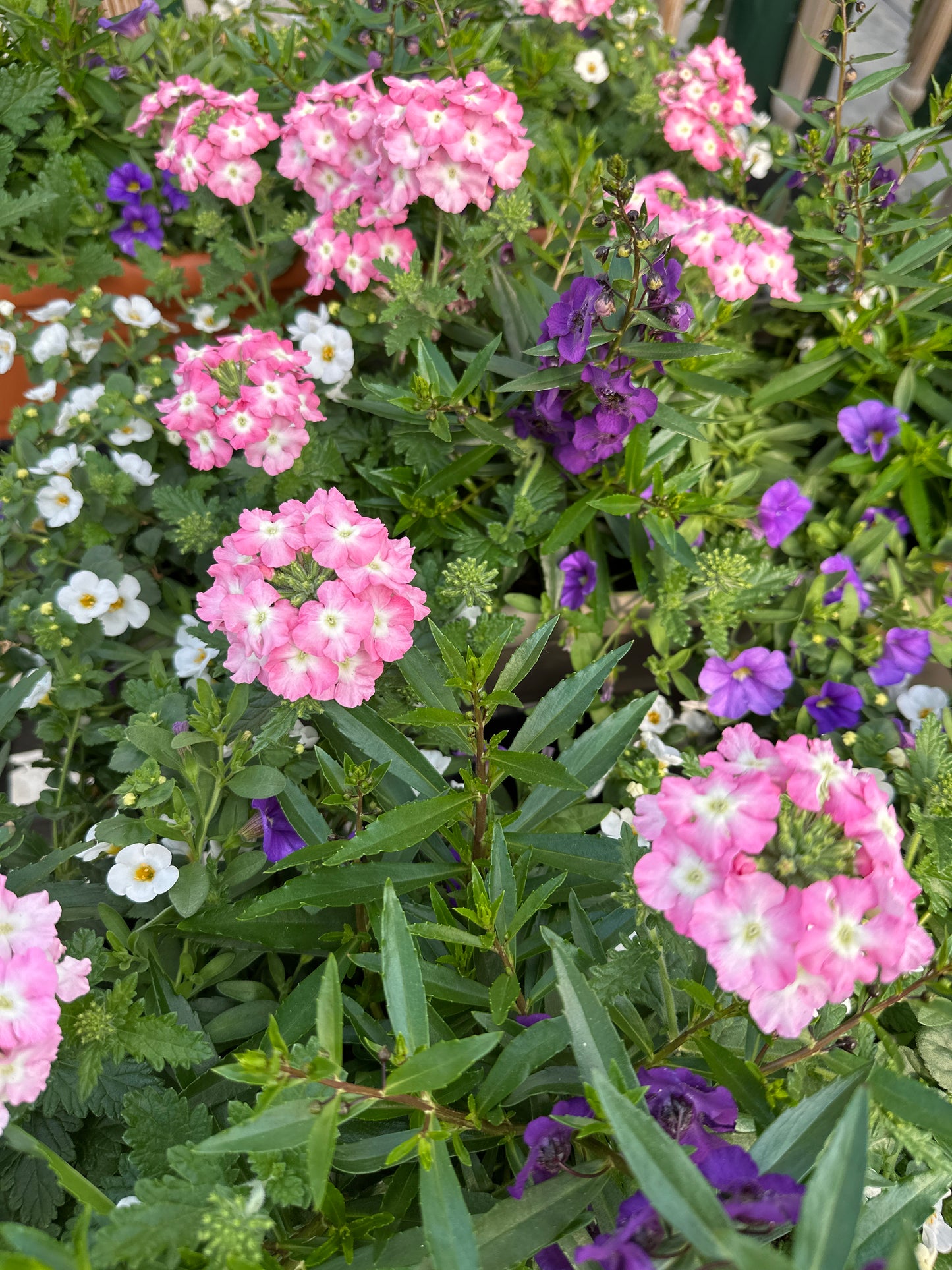 COMBO #26 - 24" WINDOW BOX