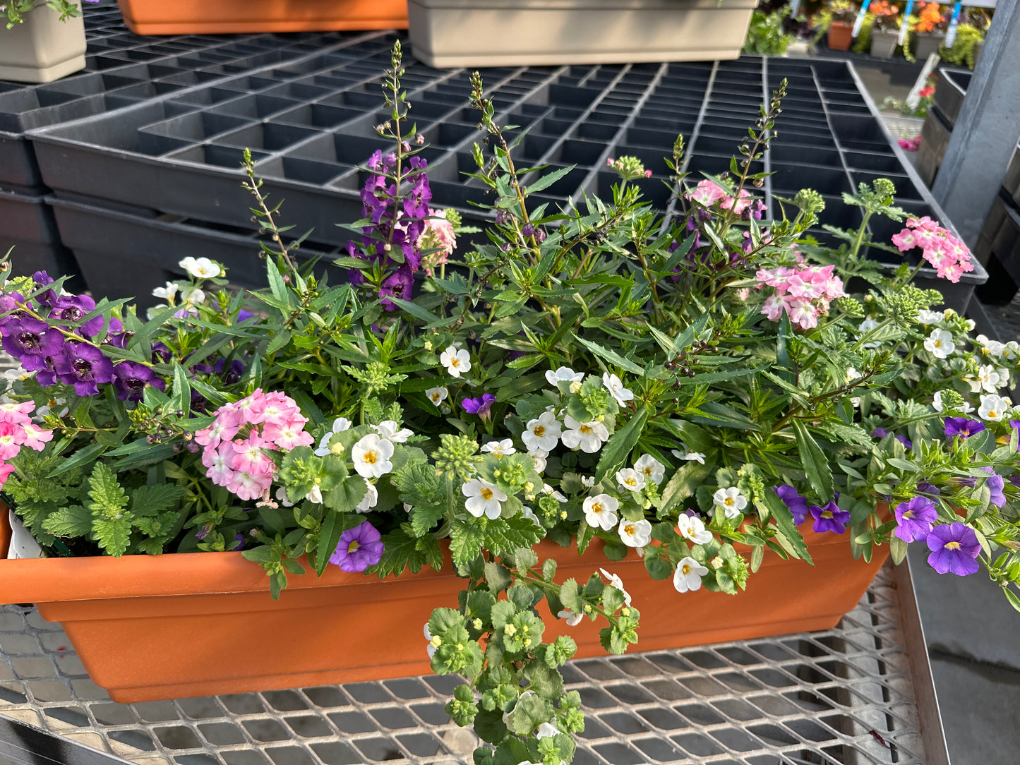 COMBO #26 - 24" WINDOW BOX