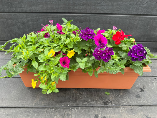 COMBO #23 - 24'' WINDOW BOX