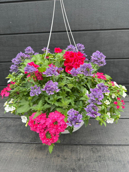 BASKET #7 - 14" HANGING BASKET