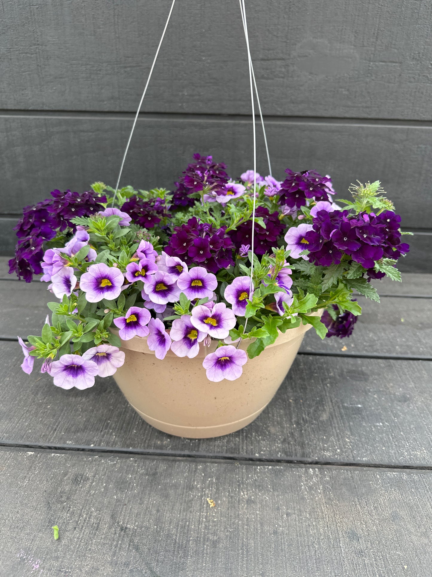 BASKET #58 - 10'' HANGING BASKET