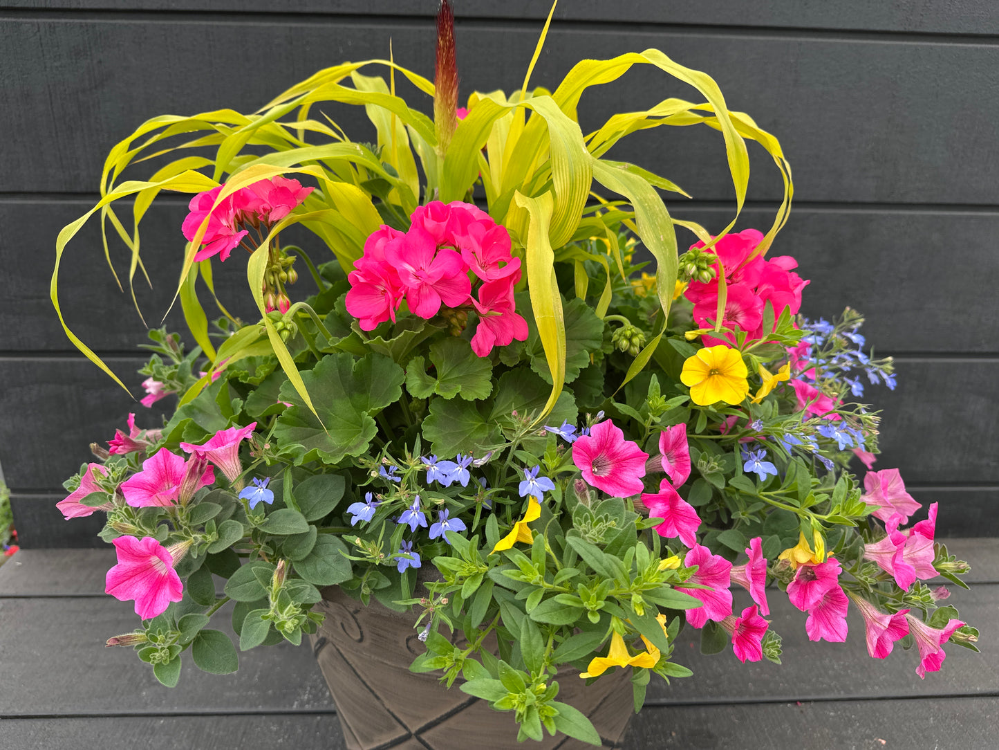 COMBO #6 - 16'' POT