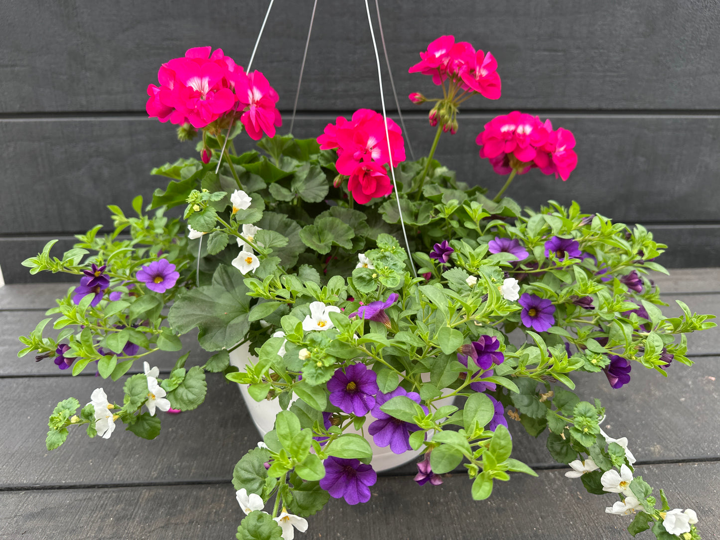 BASKET #74 - 12'' HANGING BASKET