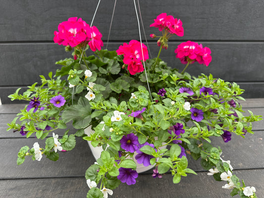 BASKET #74 - 12'' HANGING BASKET