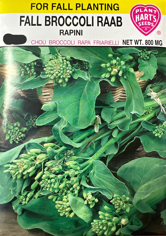 Broccoli Fall Raab
