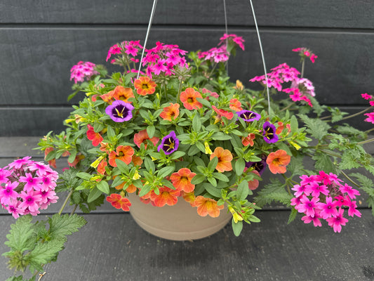BASKET #102 - 12" HANGING BASKET