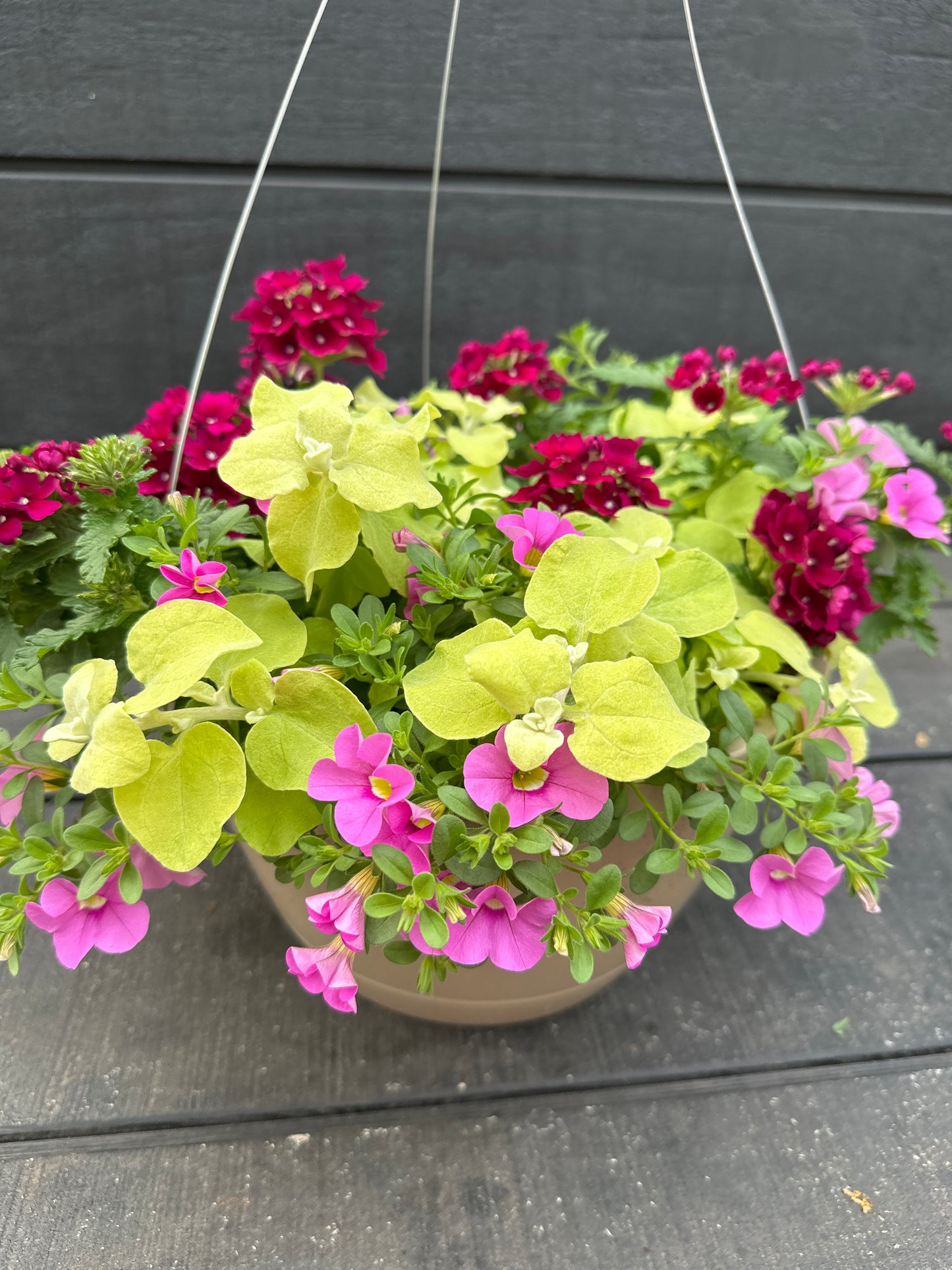 BASKET #48 - 10'' HANGING BASKET