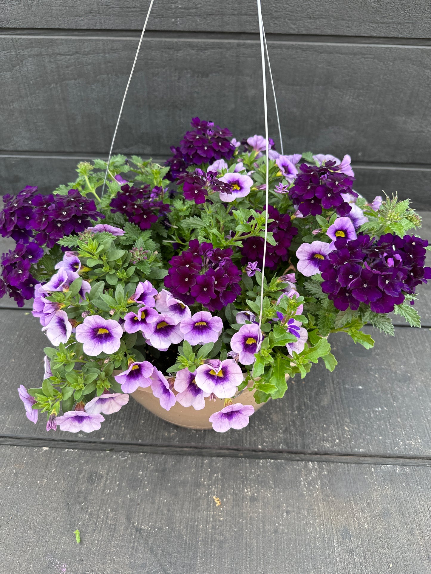 BASKET #58 - 10'' HANGING BASKET