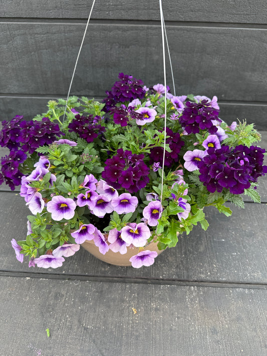 BASKET #58 - 10'' HANGING BASKET