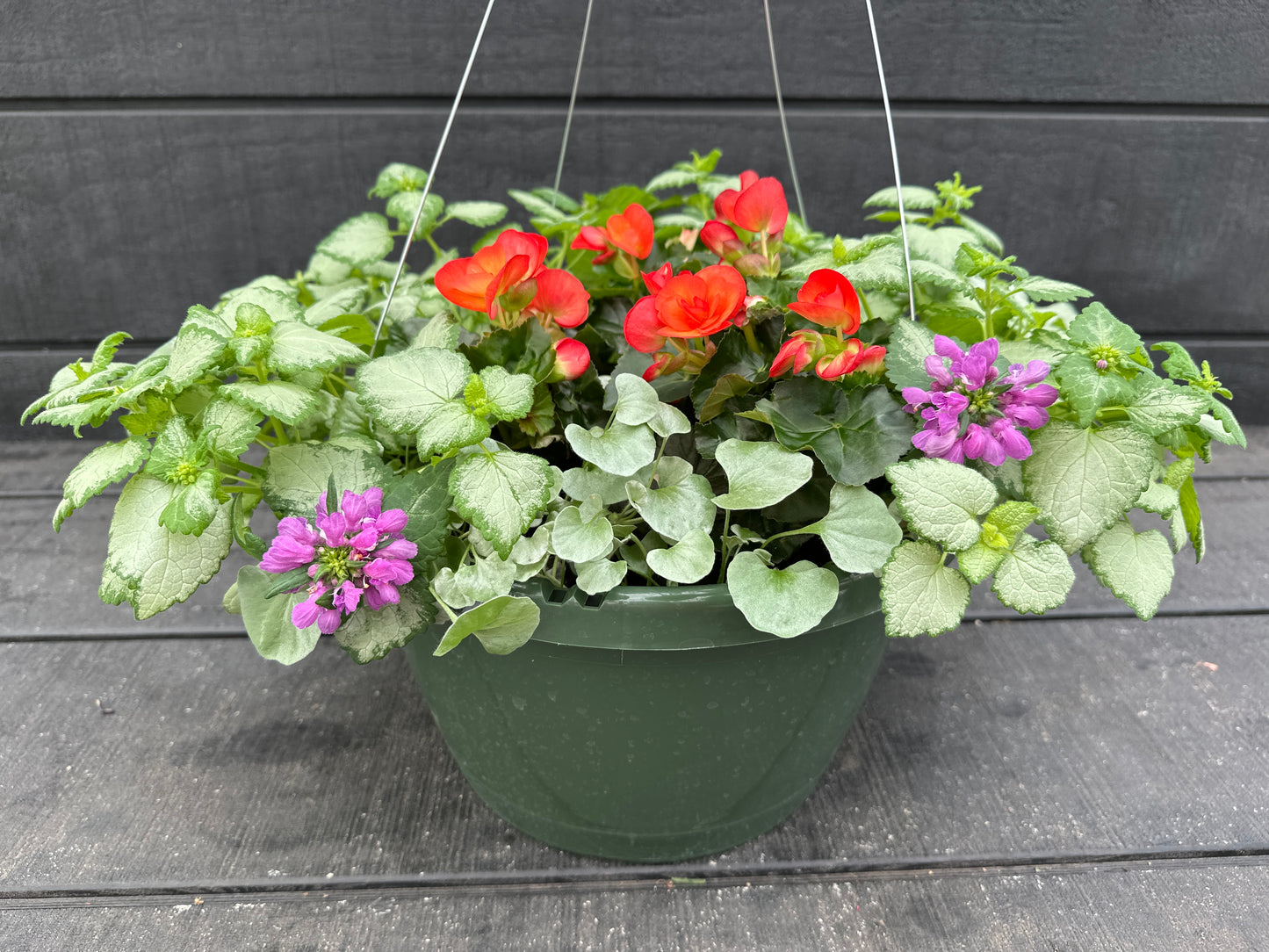 BASKET #76 - 12'' HANGING BASKET