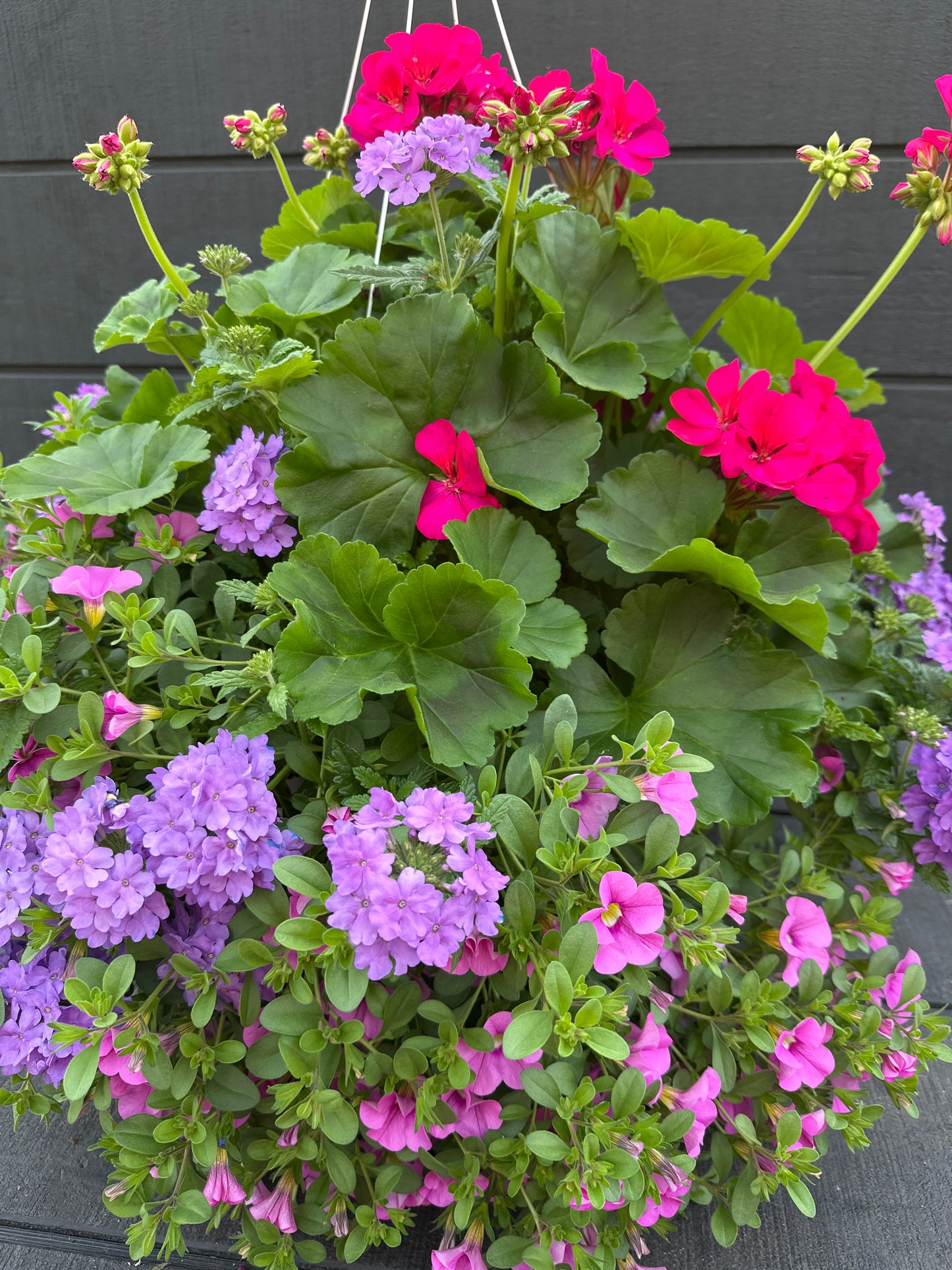 BASKET #6 - 14" HANGING BASKET