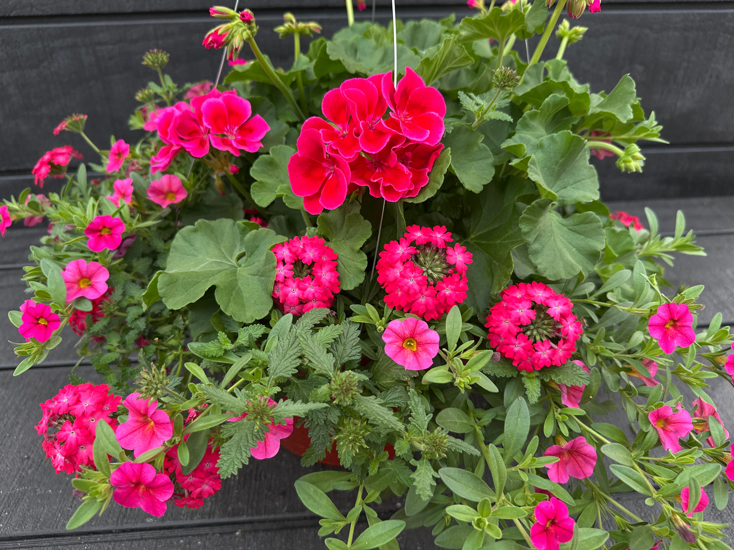 BASKET #11 - 12'' HANGING BASKET