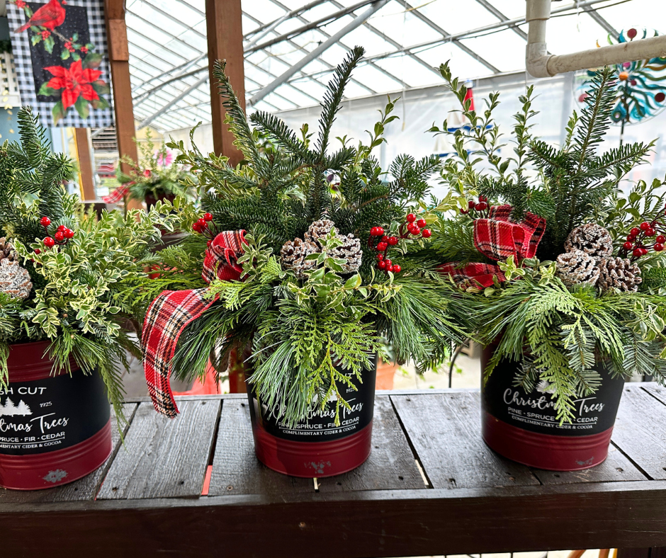 8" Tin Pot Christmas Planter