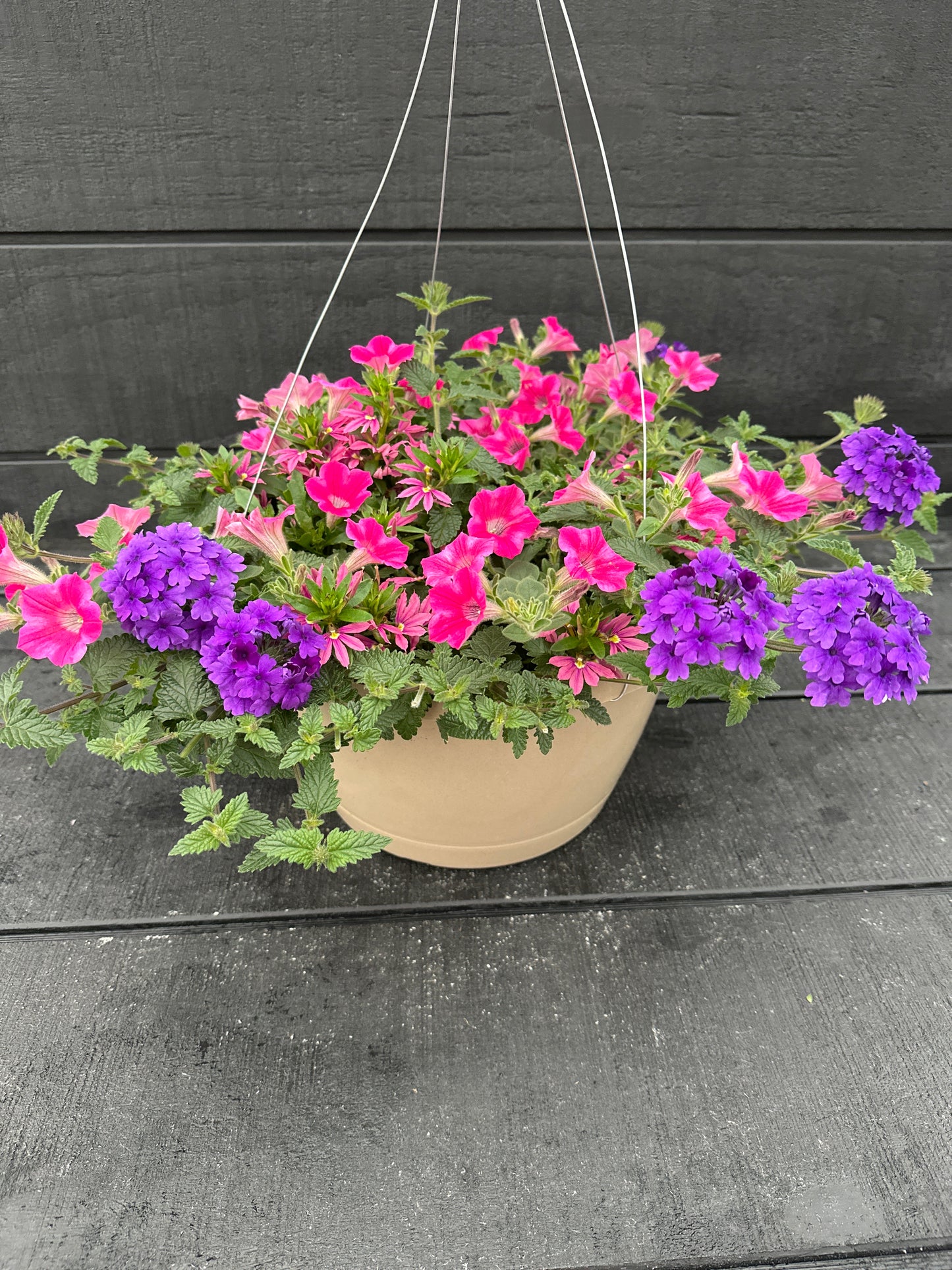 BASKET #97 - 12'' HANGING BASKET