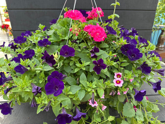 BASKET #8 - 16" HANGING BASKET