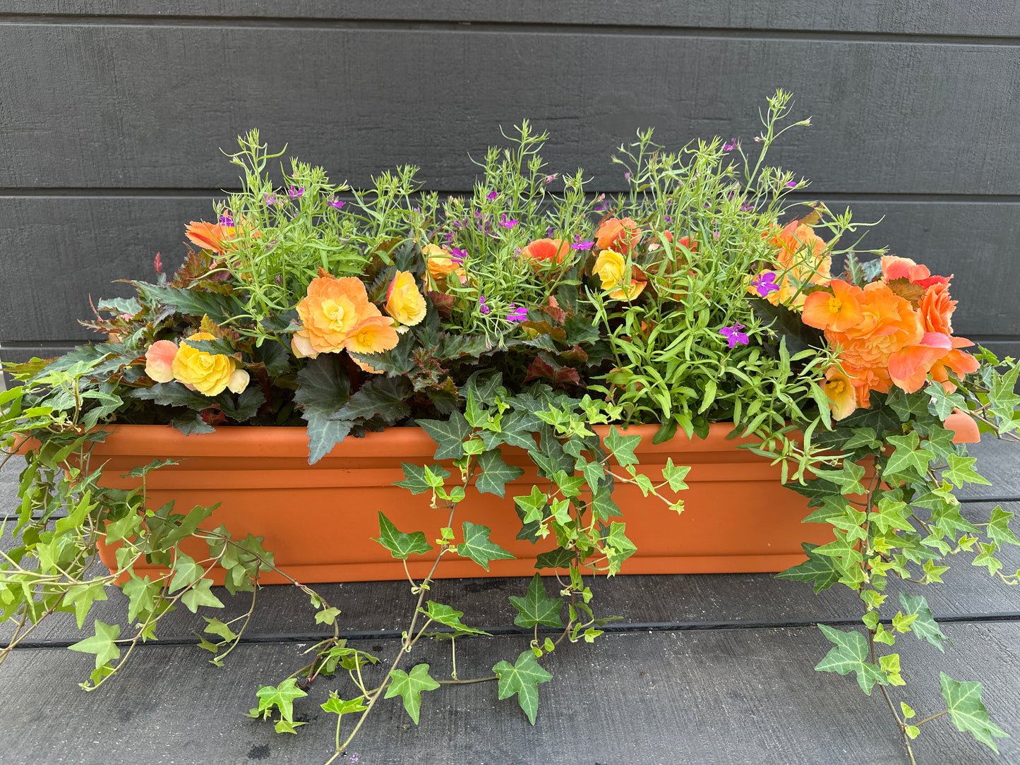 COMBO #13 - 30'' WINDOW BOX