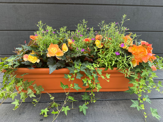 COMBO #13 - 30'' WINDOW BOX