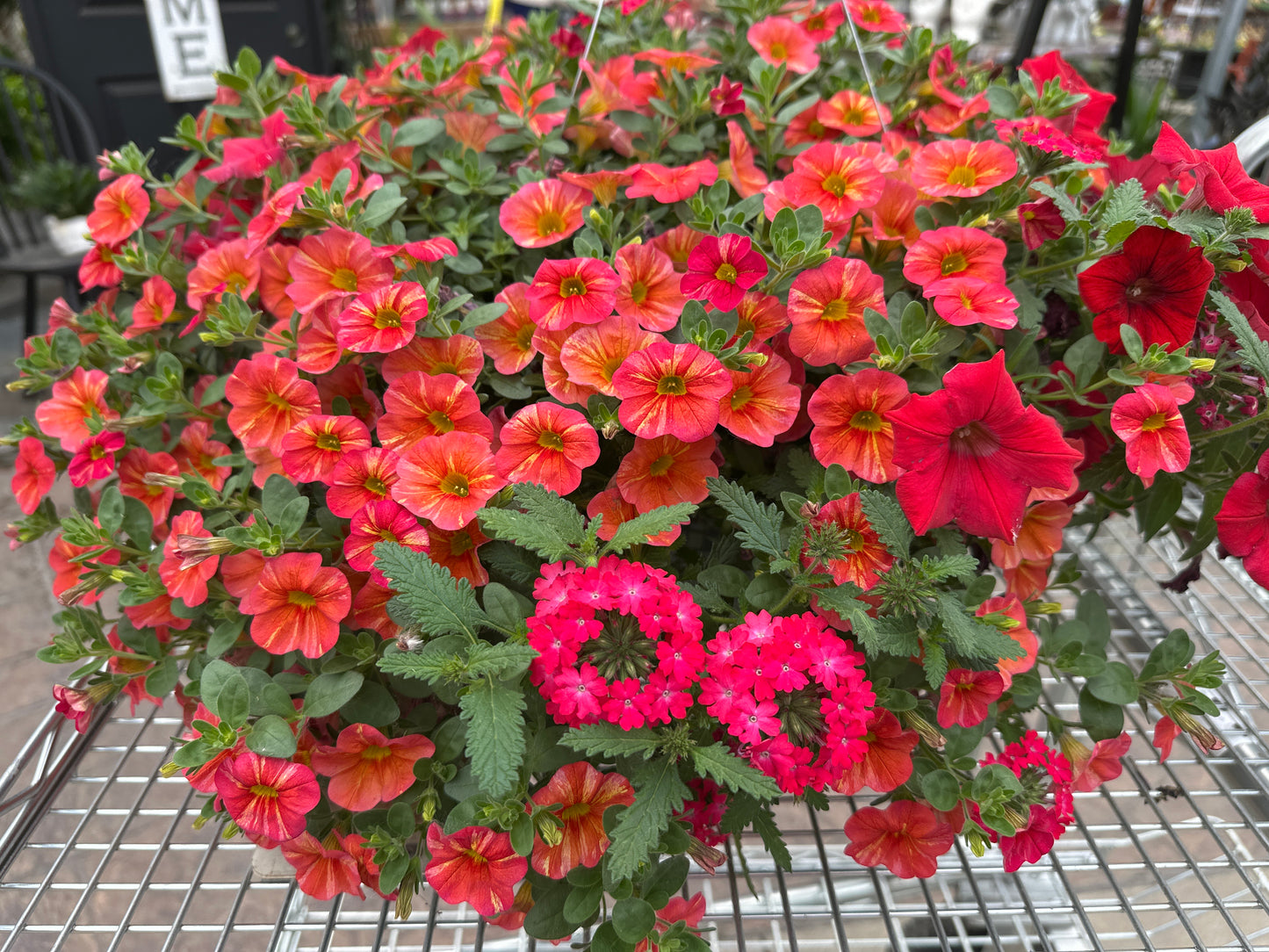 BASKET #32 - 10" HANGING BASKET