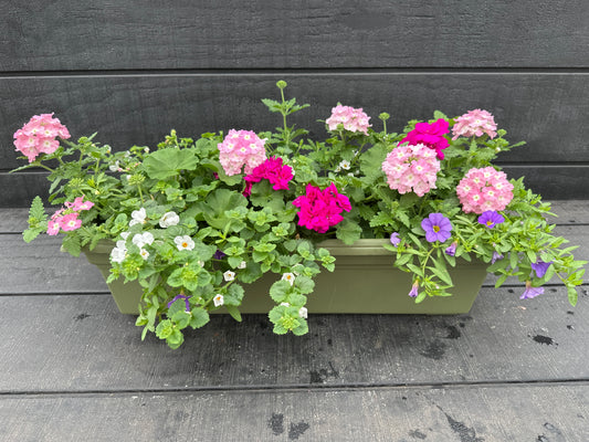 COMBO #25 - 24'' WINDOW BOX