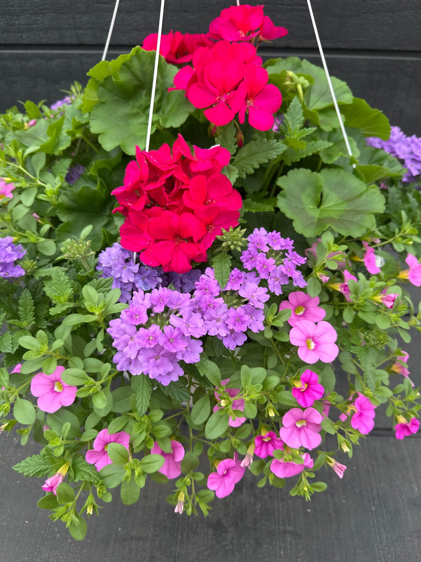 BASKET #6 - 14" HANGING BASKET
