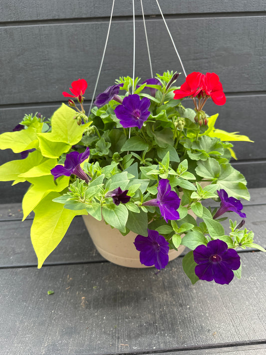 BASKET #90 - 12'' HANGING BASKET