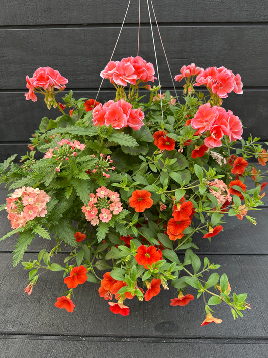 BASKET #25 - 12" HANGING BASKET