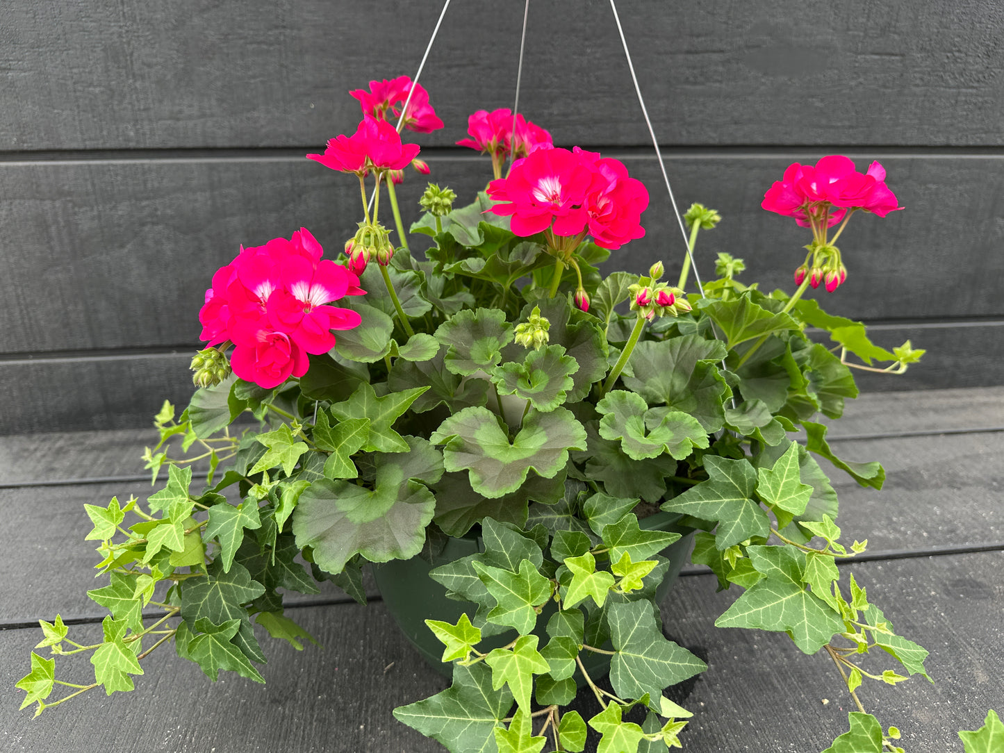 BASKET #44 - 10'' HANGING BASKET