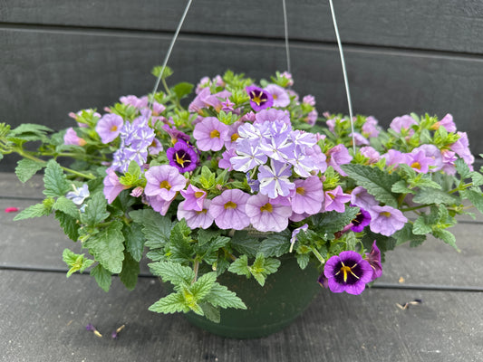 BASKET #23 - 10'' HANGING BASKET