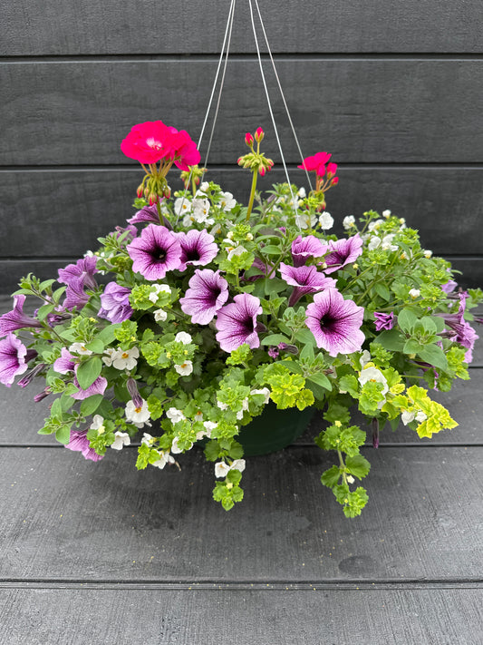 BASKET #29 - 12" HANGING BASKET