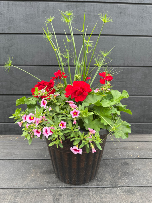 COMBO #2 - 12'' POT