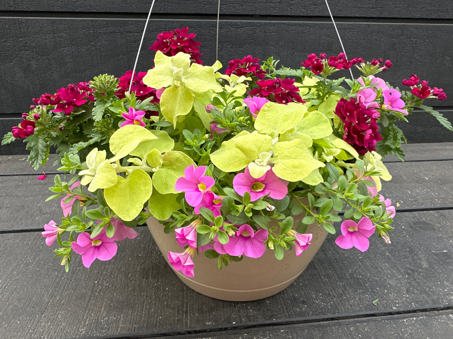 BASKET #48 - 10'' HANGING BASKET