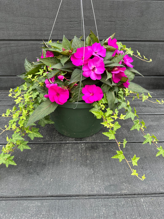 BASKET #37 - 12" HANGING BASKET