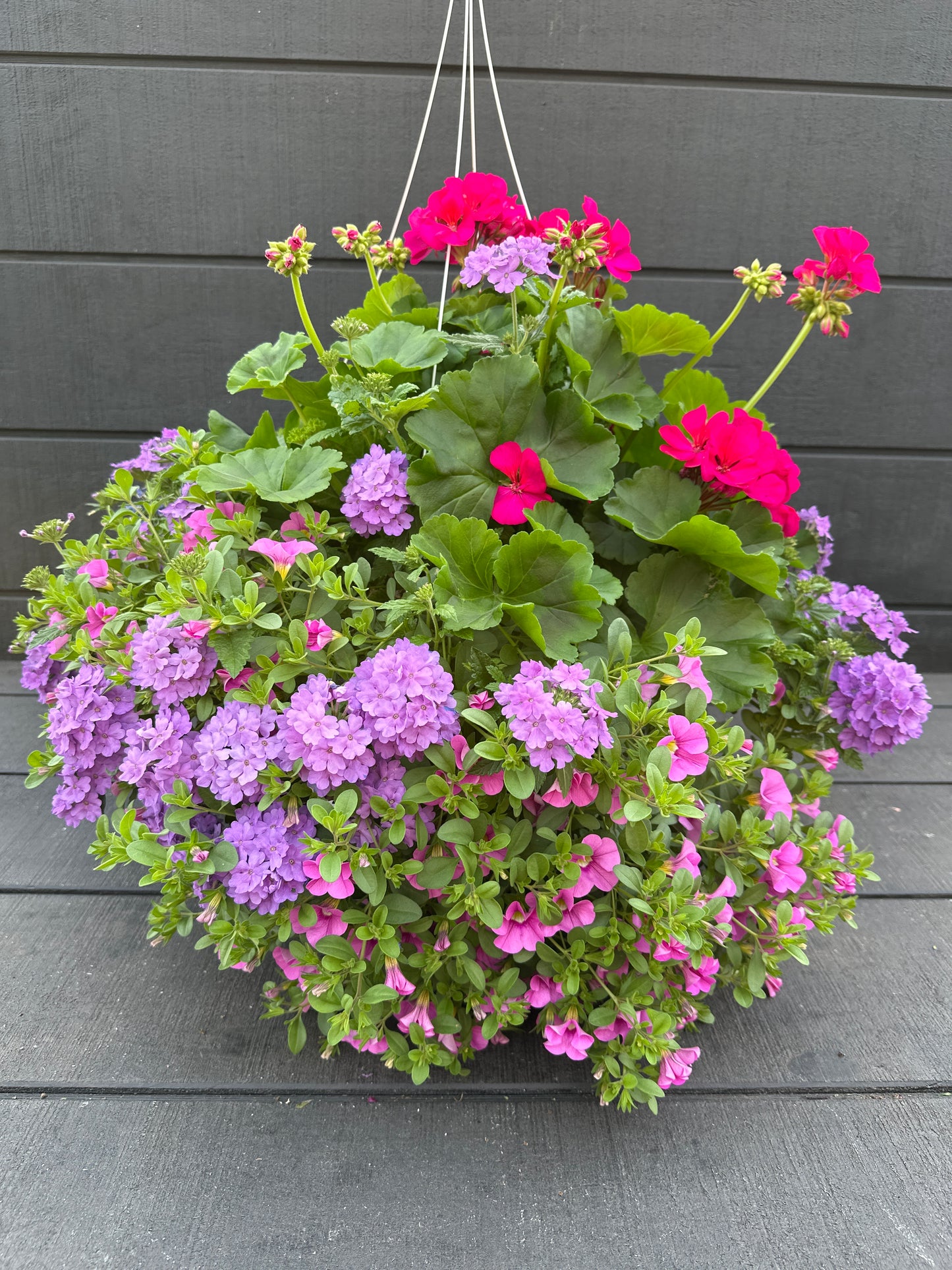 BASKET #6 - 14" HANGING BASKET